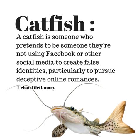 catfished meaning slang|what is a catfish person.